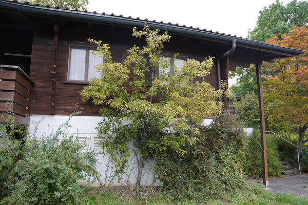 Birnbaum Nesslau
